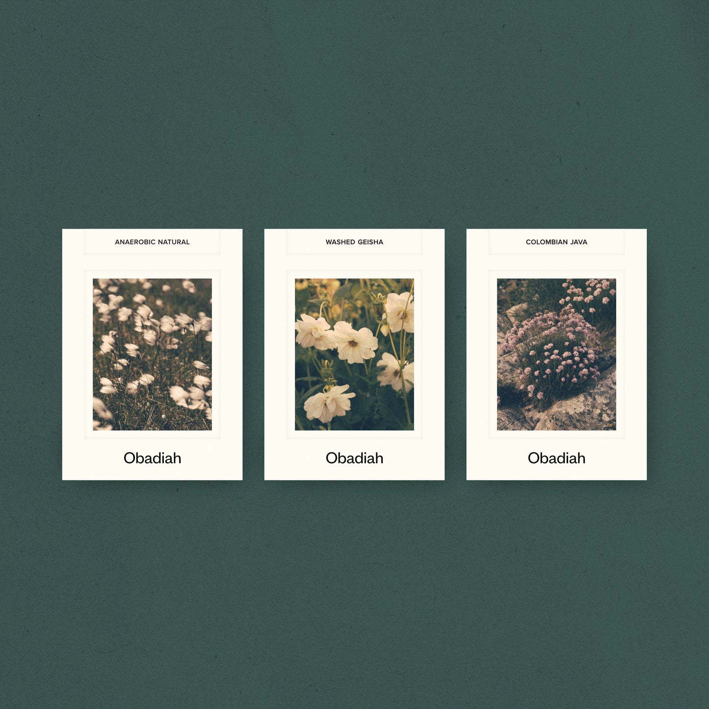 Pre-order: Obadiah - Flòr