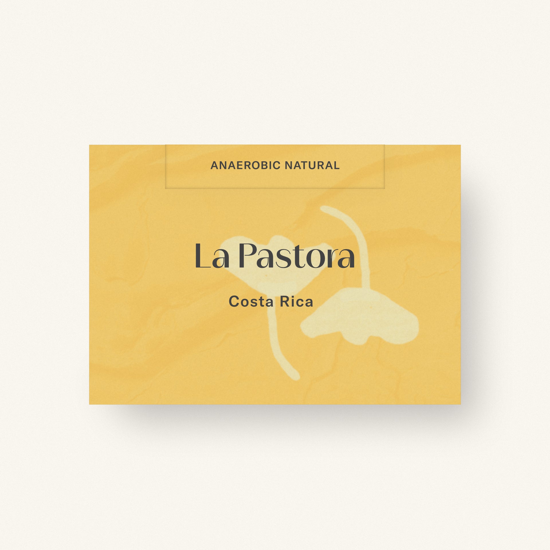 La Pastora by Obadiah